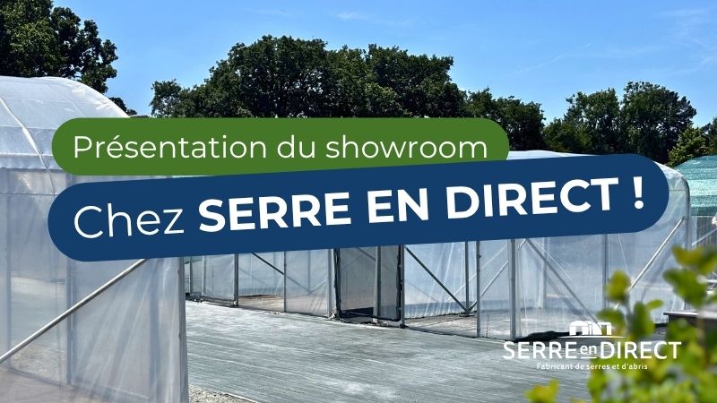 Présentation de la vidéo